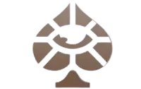 Bolizyn Casino logo
